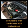 1.0 Ecoboost Ford Fiesta MK8 Performance Intake Kit