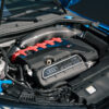 Carbon Fibre Induction Kit for Audi RS3 8Y/8V, RSQ3 (F3), TTRS (8S), & Cupra Formentor